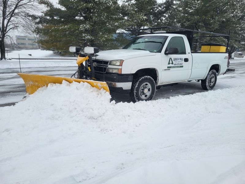 Tree Elevation and Lifting Services in Berks, Chester, Montgomery, Lancaster County