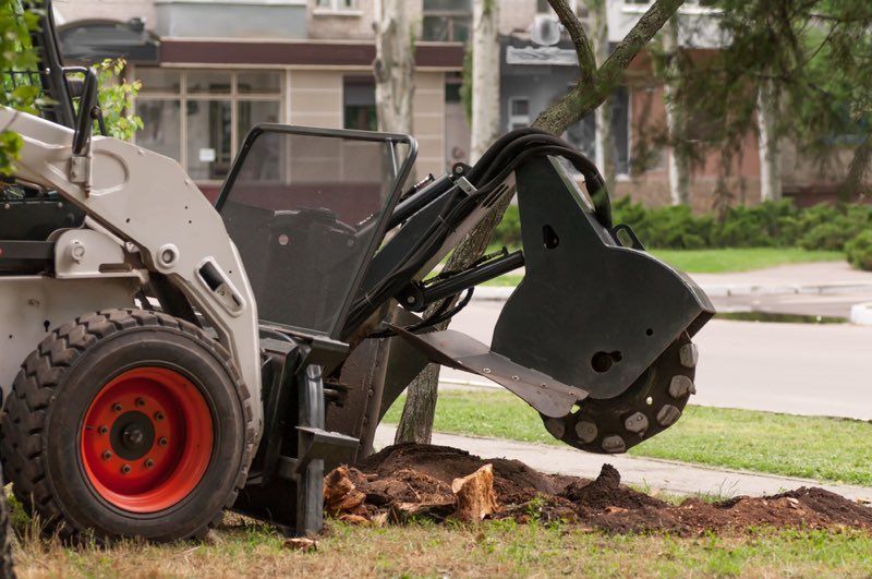 Contact us about your best option for stump grinding and stump removal in Berks County PA.