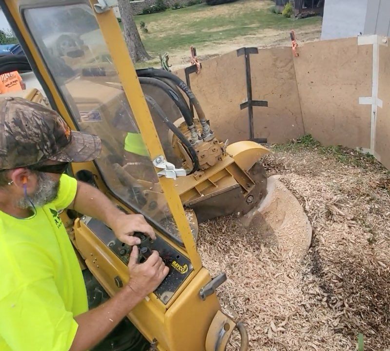 Stump Grinding in Berks, Chester, Montgomery, Lancaster County