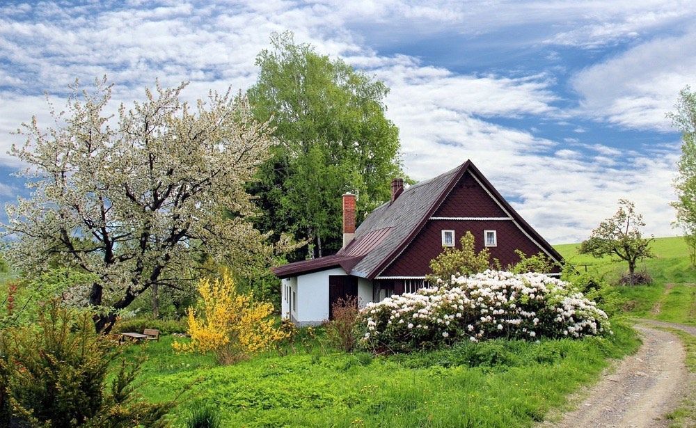 Arbor Max is a fully insured tree service located in Reading, PA, Berks County.