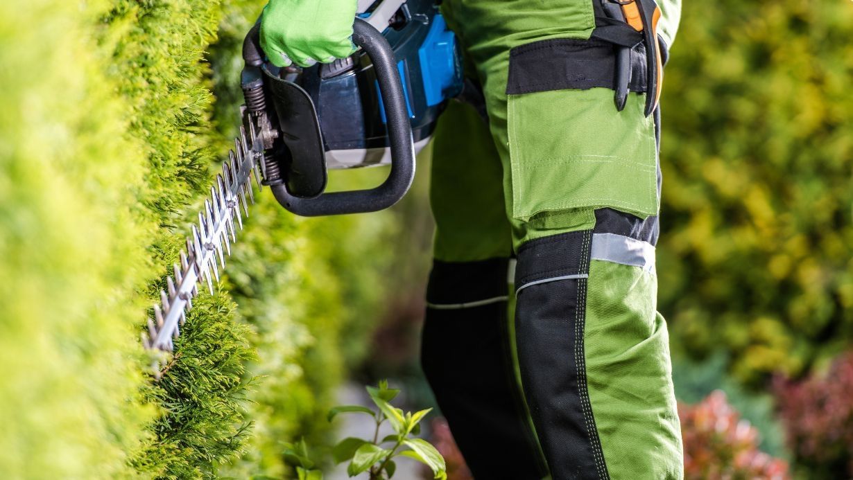 Contact us for shrub and tree pruning in Berks, Chester, Montgomery, and Lehigh County.