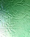 Squiggle — Glass cut-to-size Maitland in Rutherford, NSW