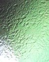 Green — Glass cut-to-size Maitland in Rutherford, NSW