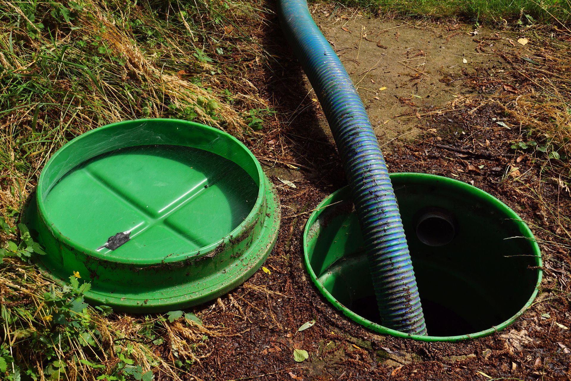 Open green lid during a routine septic pumping maintenance to prevent household backups.