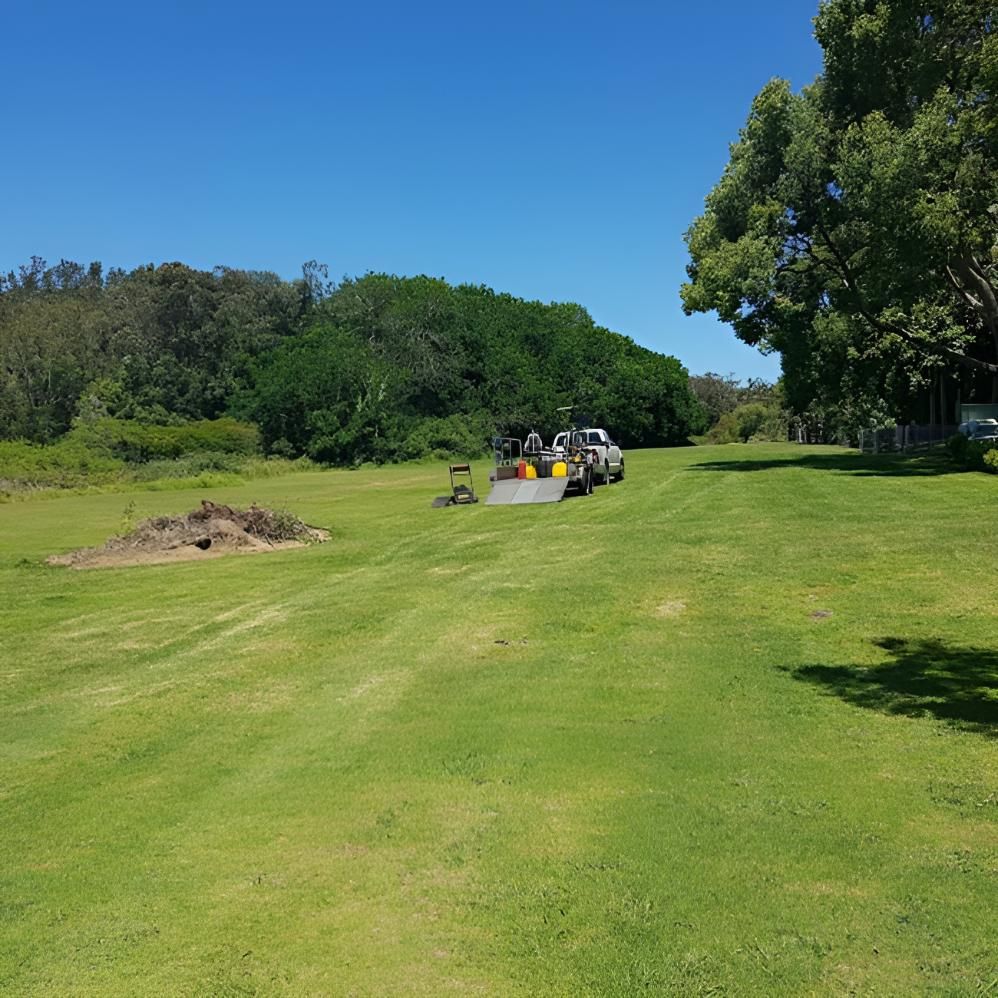 A Group Of Cars Are Parked In A Grassy Field — The Local Bloke Lawn & Garden Care In Warners Bay, NSW