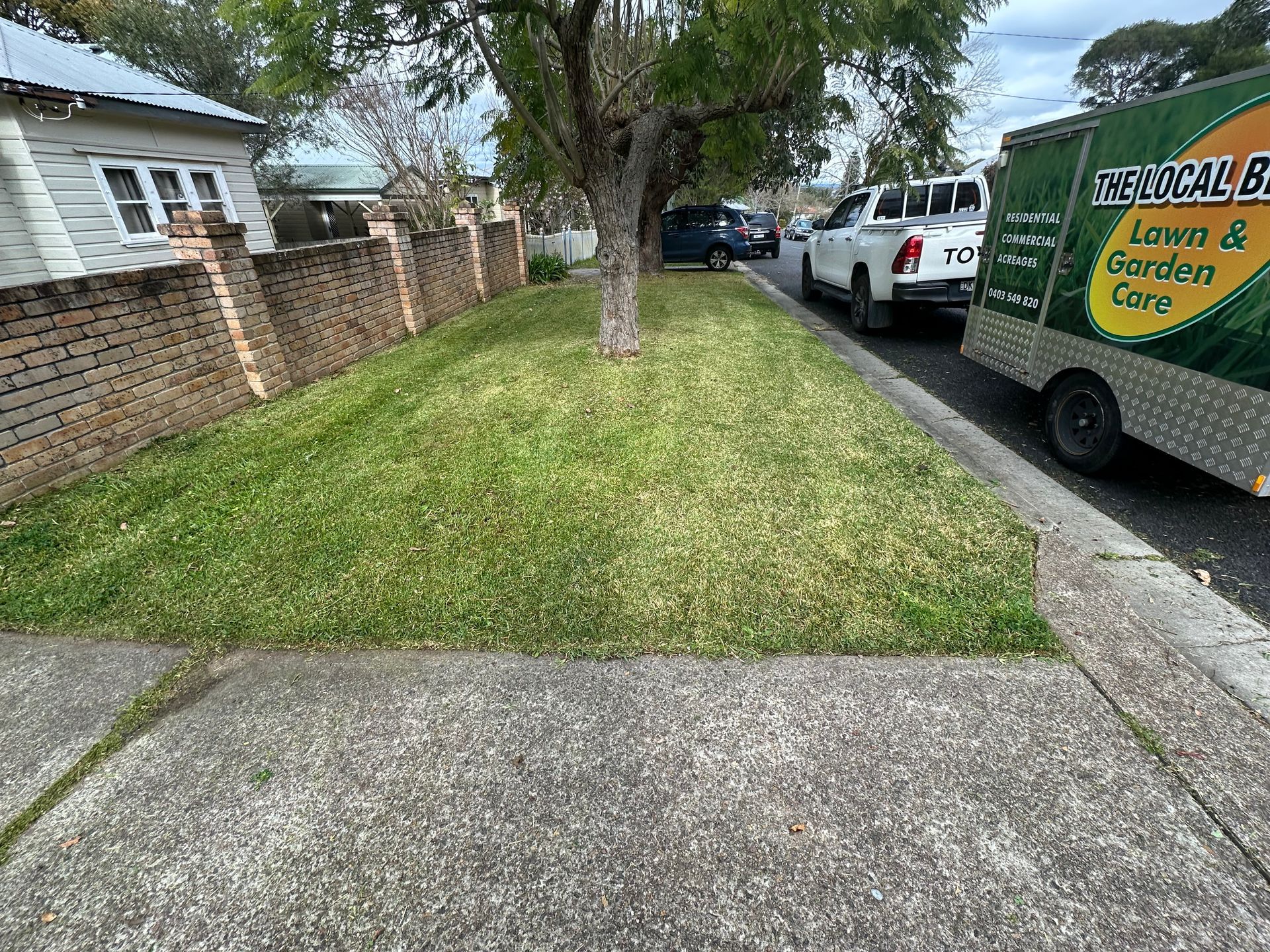 A freshly mowed lawn in a grass footpath with A white car parked in front of it — The Local Bloke Lawn & Garden Care In Cameron Park, NSW