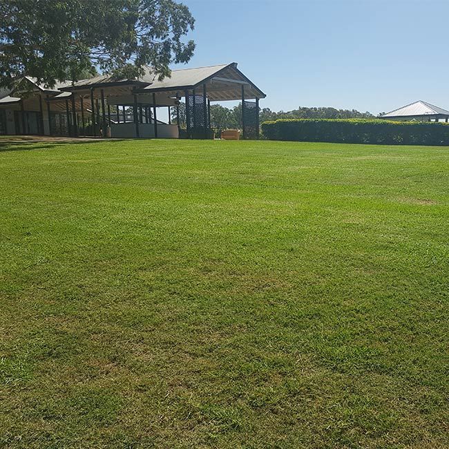 A Large Lush Green Field With A Building In The Background — The Local Bloke Lawn & Garden Care In Warners Bay, NSW