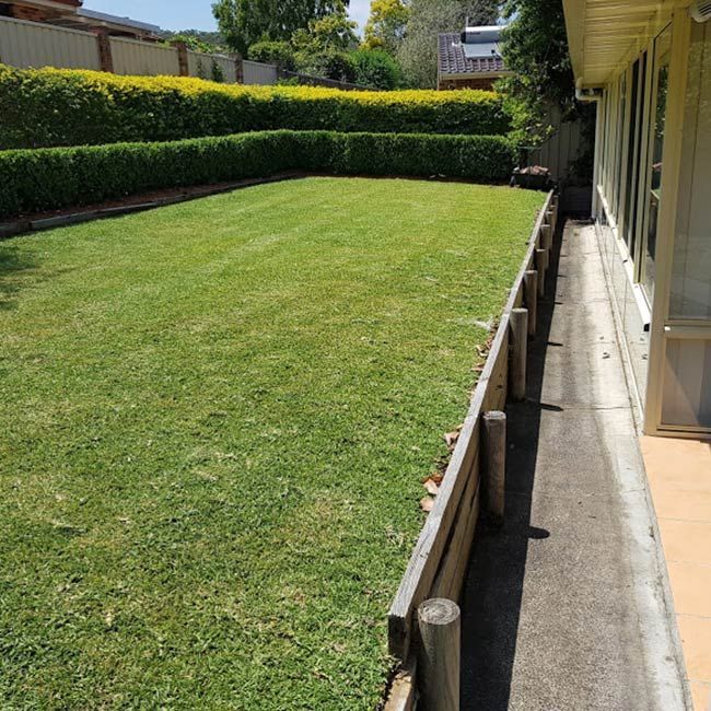 A Nice Green Lawn With A Wooden Fence In Front Of A House  — The Local Bloke Lawn & Garden Care In Lake Macquarie, NSW