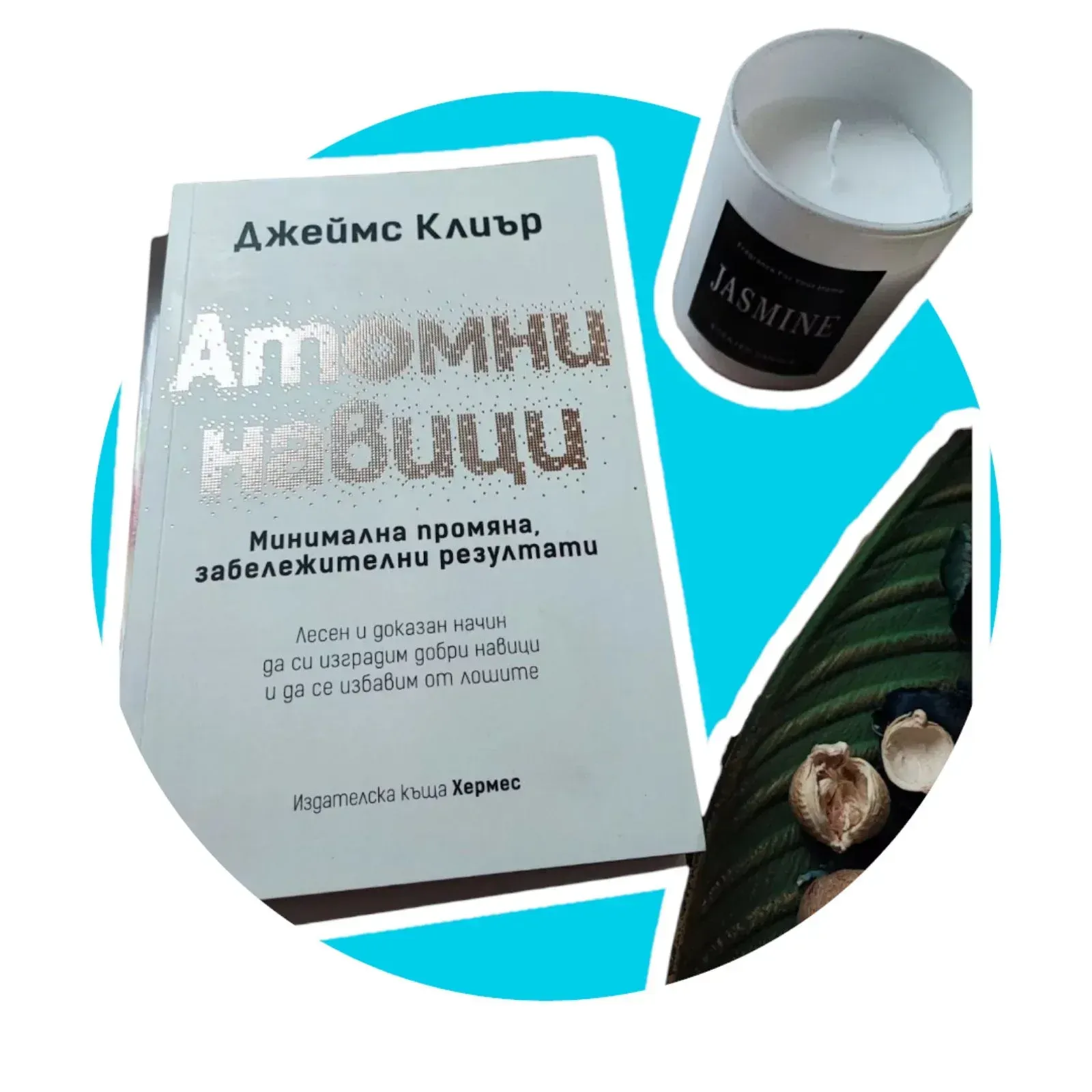 ΠΊΠ½ΠΈΠΆΠ½Π° ΠΊΡΡΠΈΡ ΡΠ½ΠΈ monthly box june