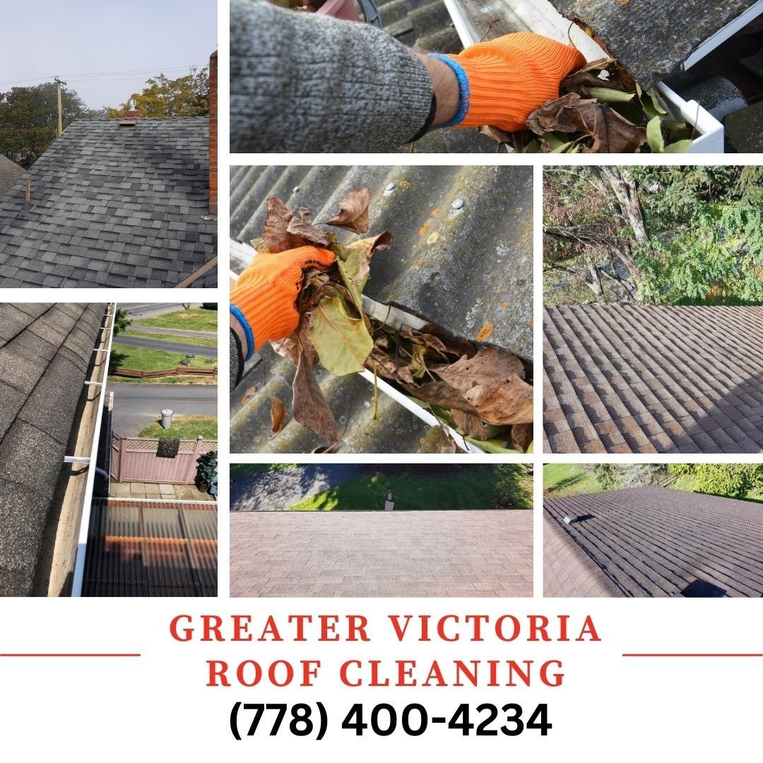 roof and gutter cleaning, victoria bc