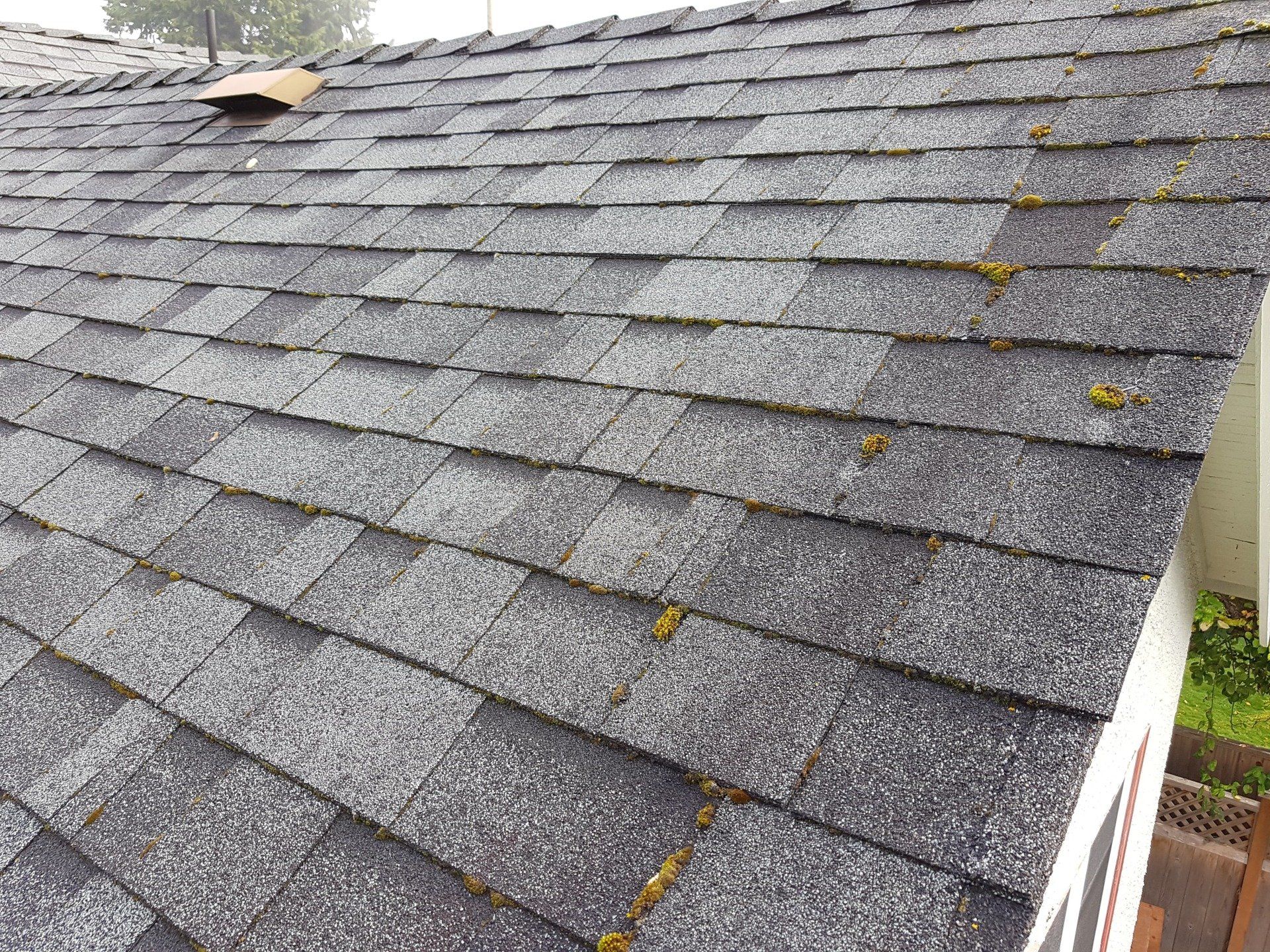 roof cleaning victoria bc