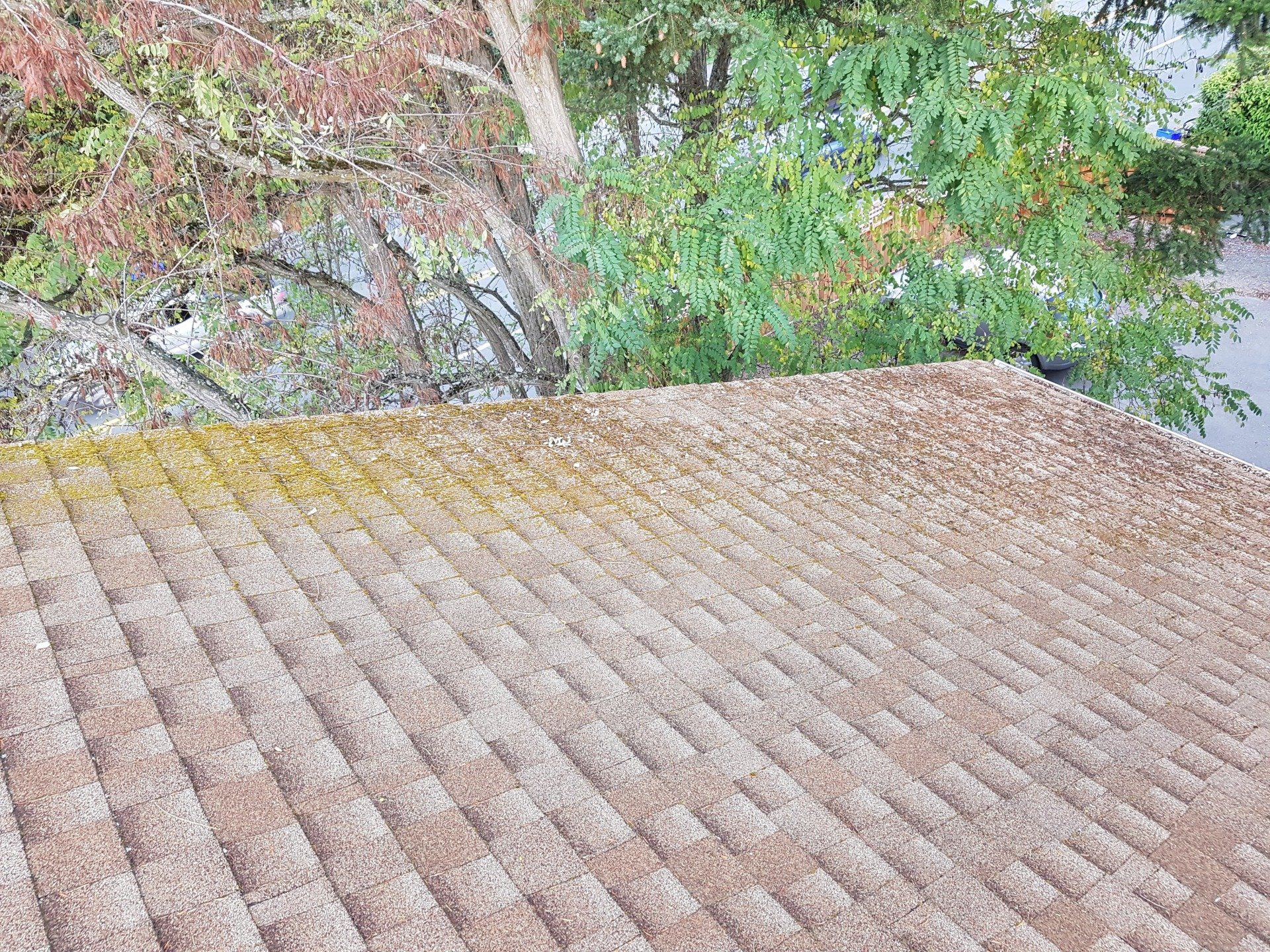 north vancouver roof cleaning