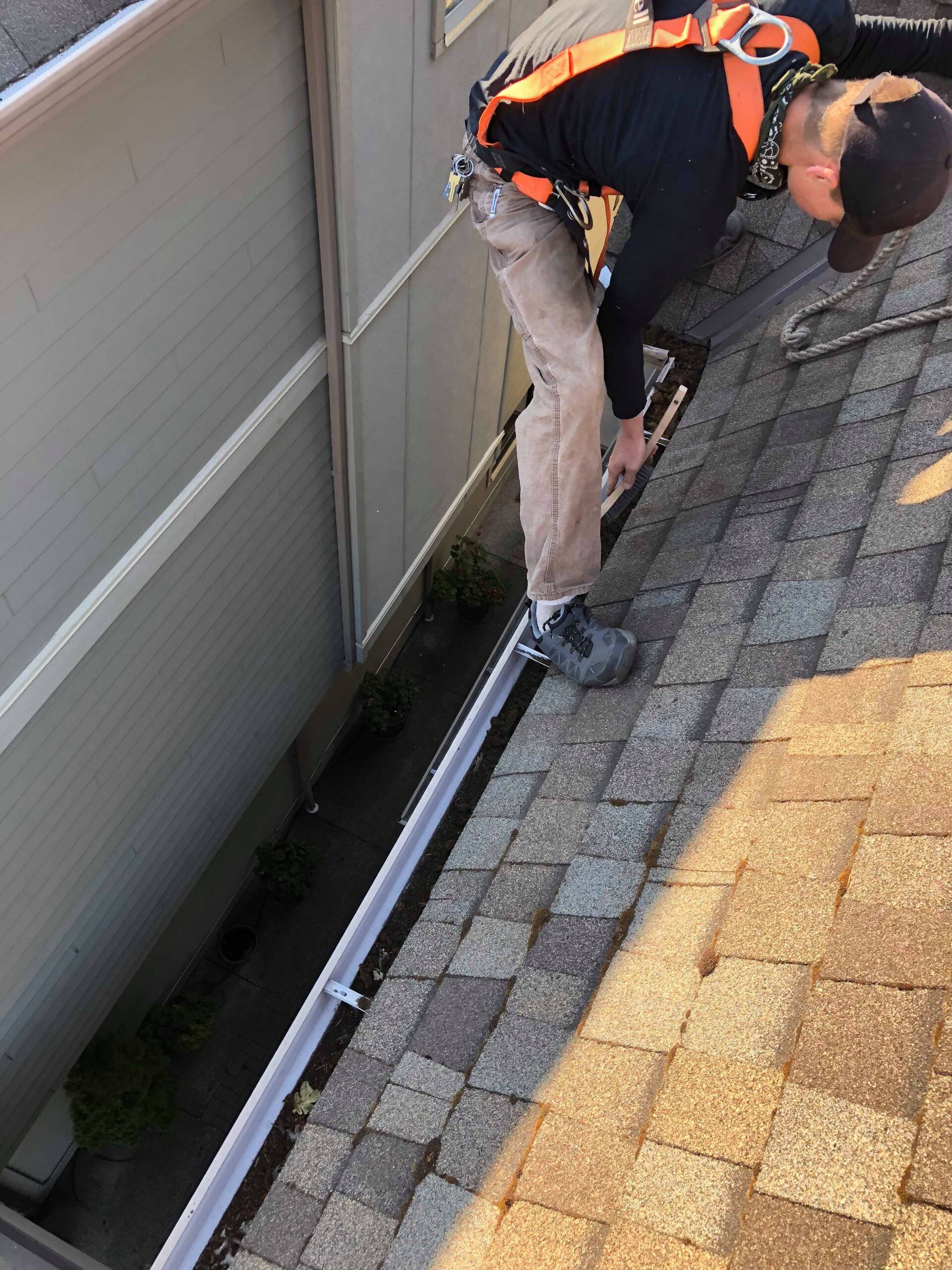 roof cleaning victoria bc