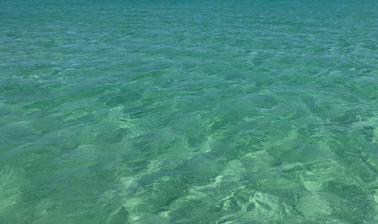 Clear Water