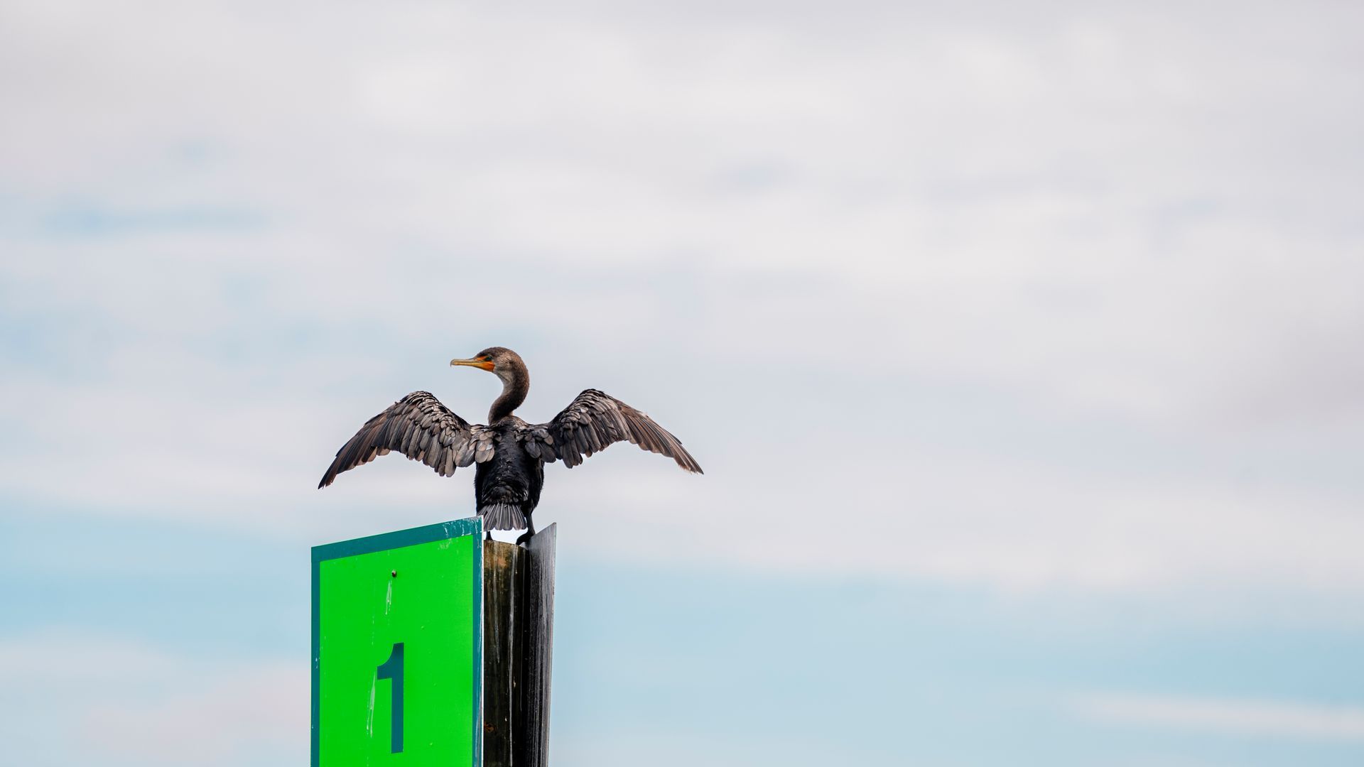 A cormorant with outstretched wings sits atop a green navigation marker against a cloudy sky.