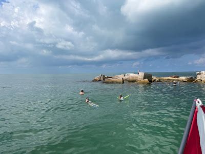 people in water snorkeling near rocks 