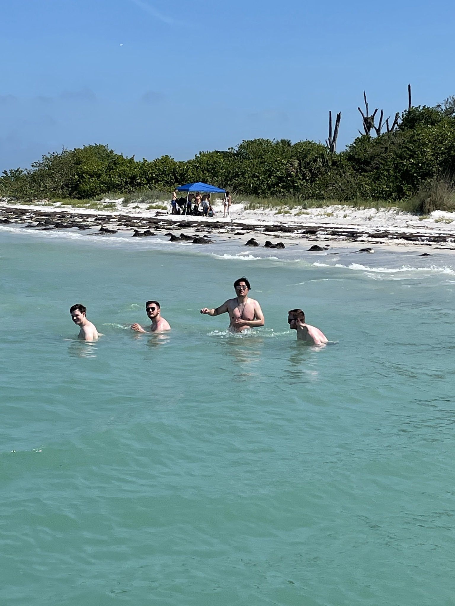A group of people are swimming in the ocean.