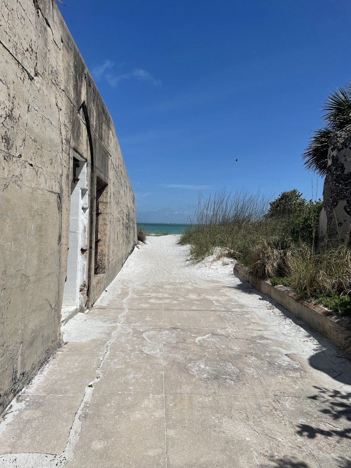 Explore Egmont Key as part of a day trip to Anna Maria Island