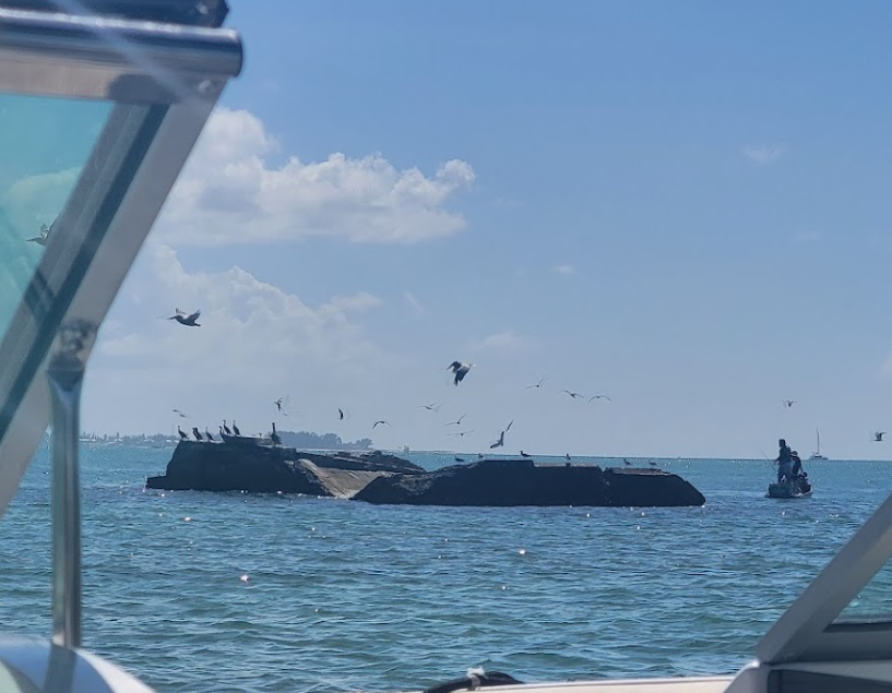 Birds are flying over a large body of water