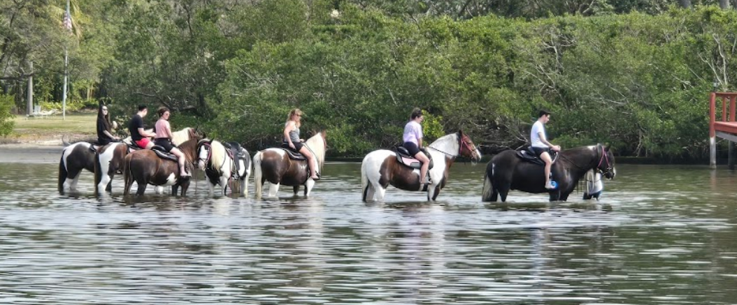 A group of people are riding horses in the water.