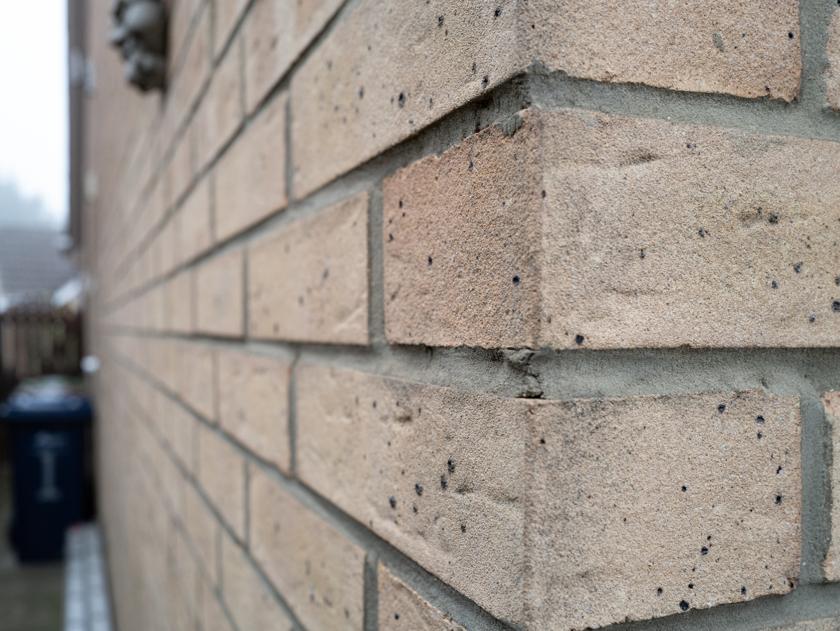 Tan brick wall corner, slightly out of focus. Garbage can and fence visible in background.
