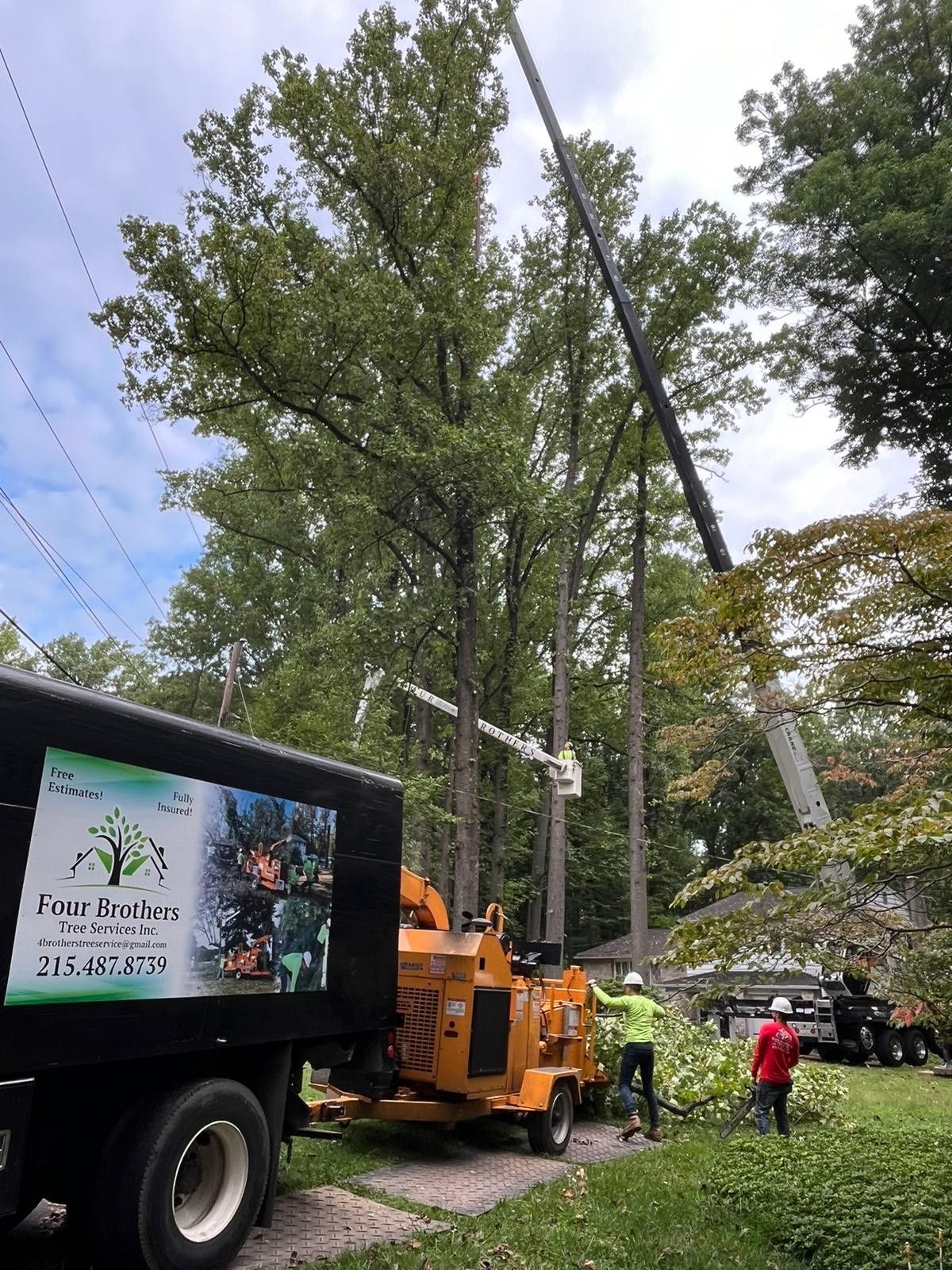 A tree chipper is cutting a tree in a yard next to a truck.