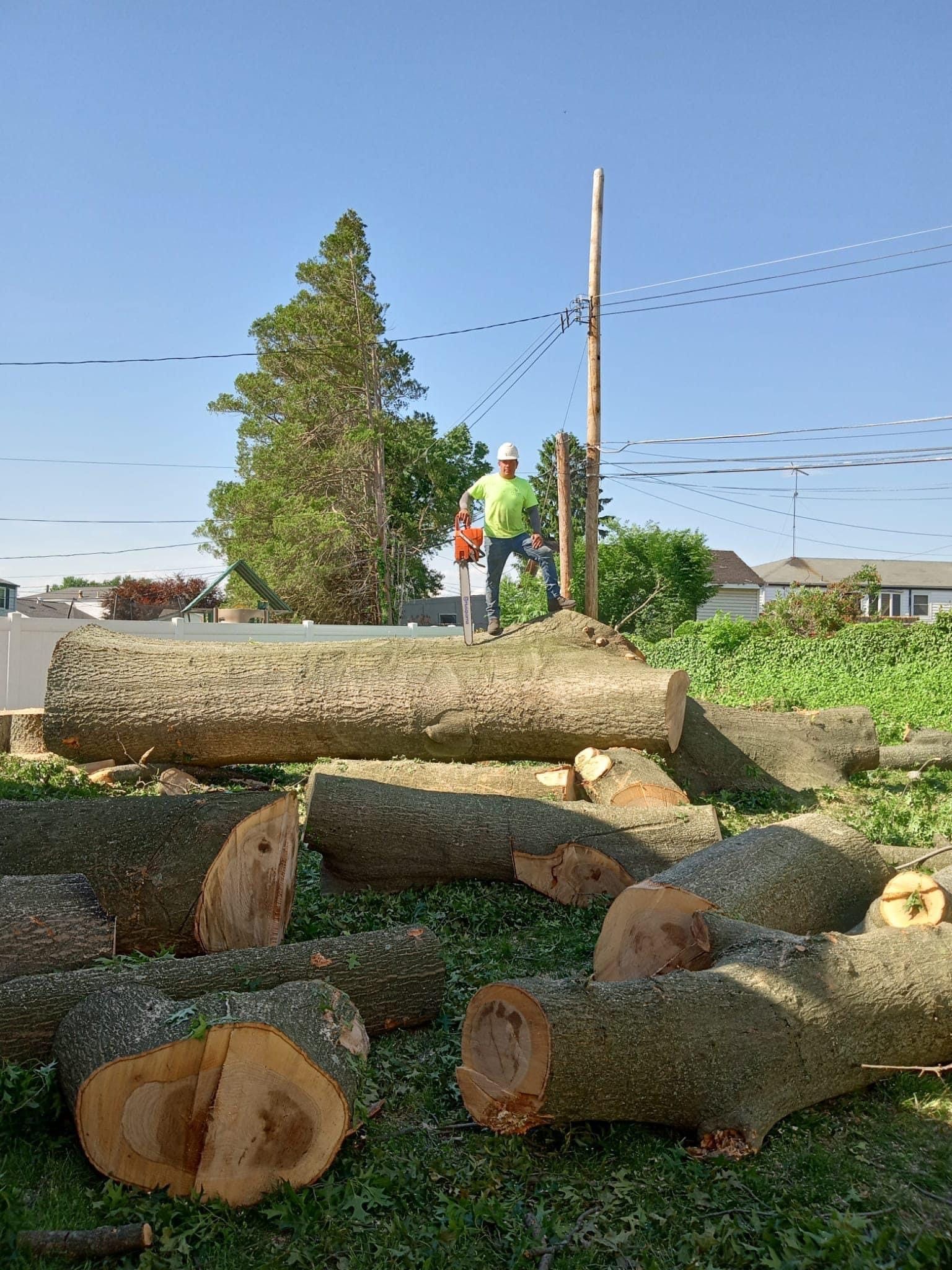 A man is standing on top of a pile of logs.
