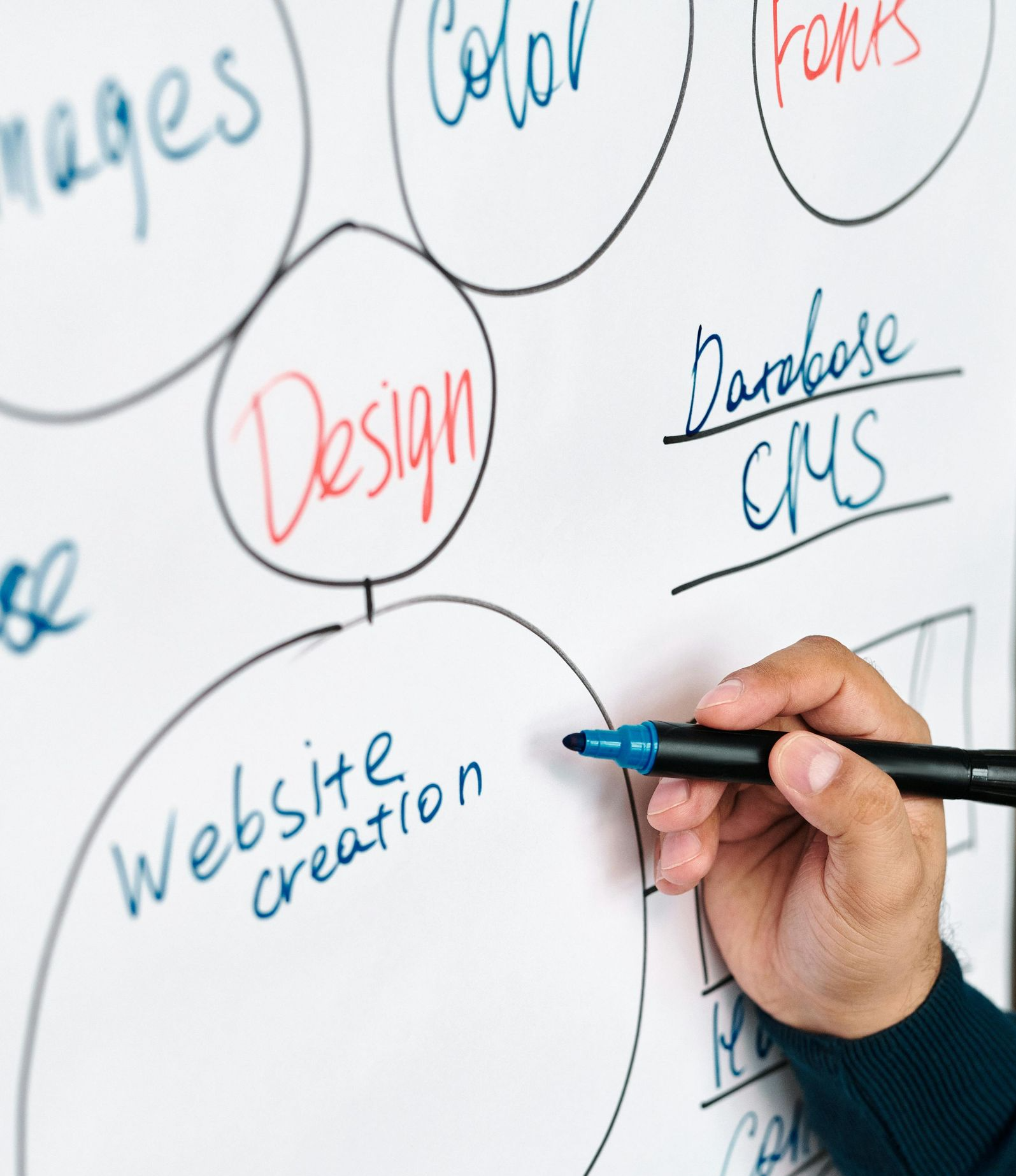 Web Design