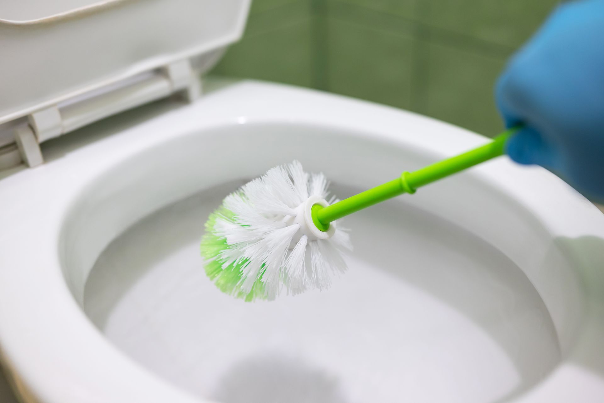 A person is cleaning a toilet with a toilet brush.