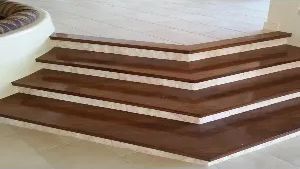 A close up of a staircase with a plant in the background