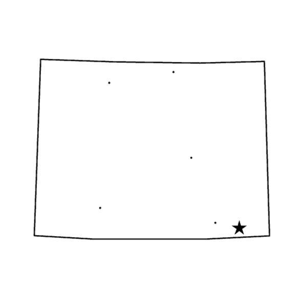 A black and white drawing of a state with a star in the middle.