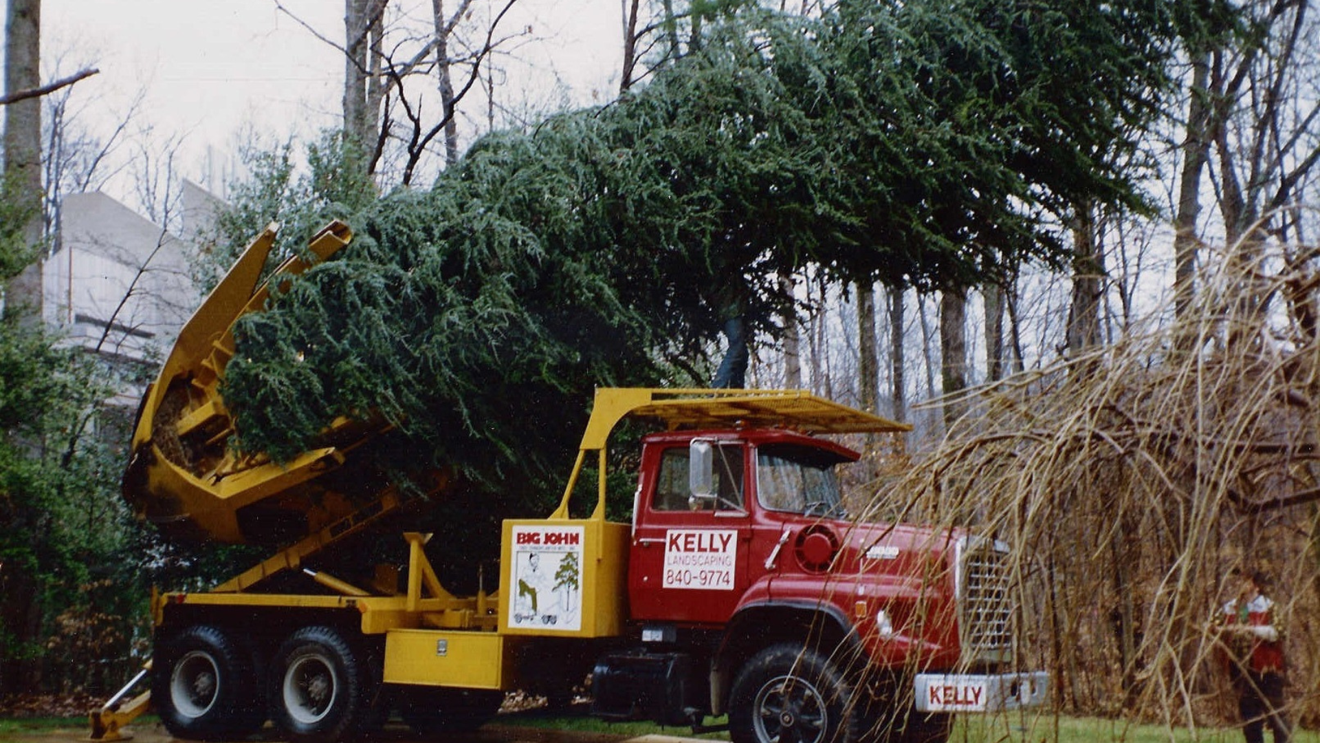 A worker stands beside an orange skid-steer loader next to a row of large, burlap-wrapped evergreen trees in a field.