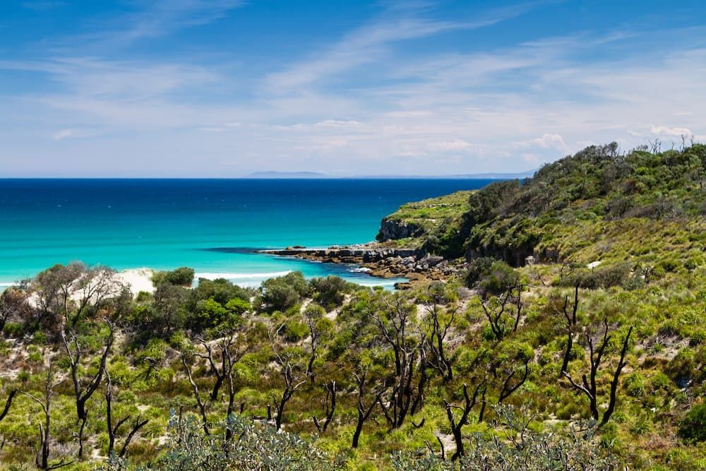 Bright Turquoise Ocean Meets a Green-Covered Cliffside — Sew Affordable In Toukley, NSW