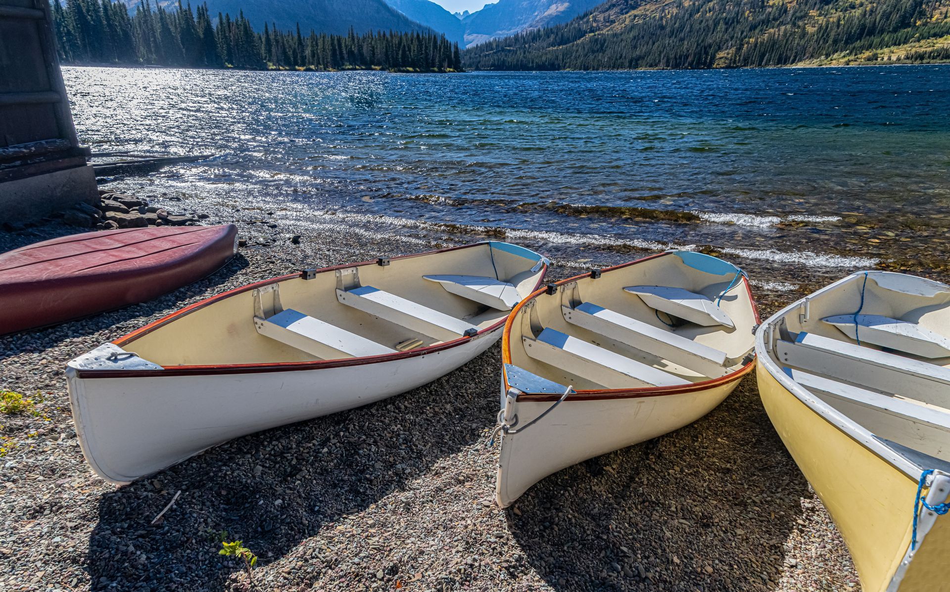 Three row boats are sitting on the shore of a lake.