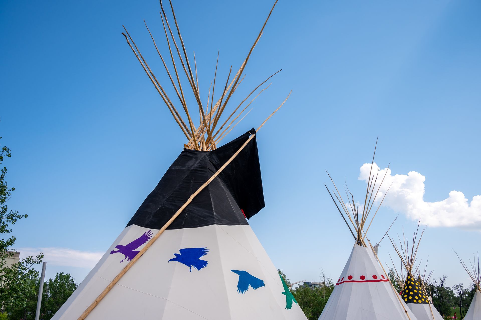 A group of teepees with birds painted on them