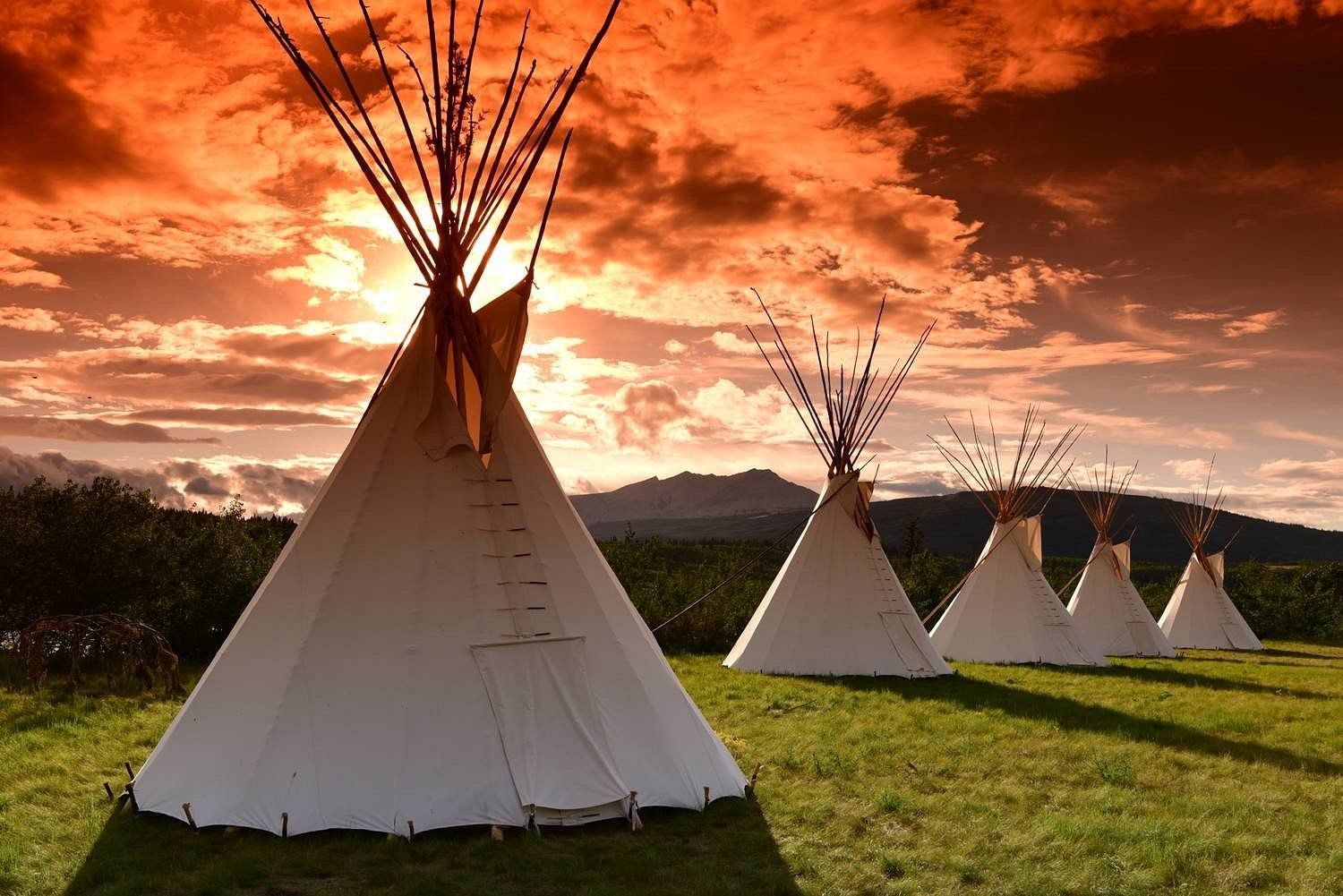 A row of teepees in a grassy field at sunset