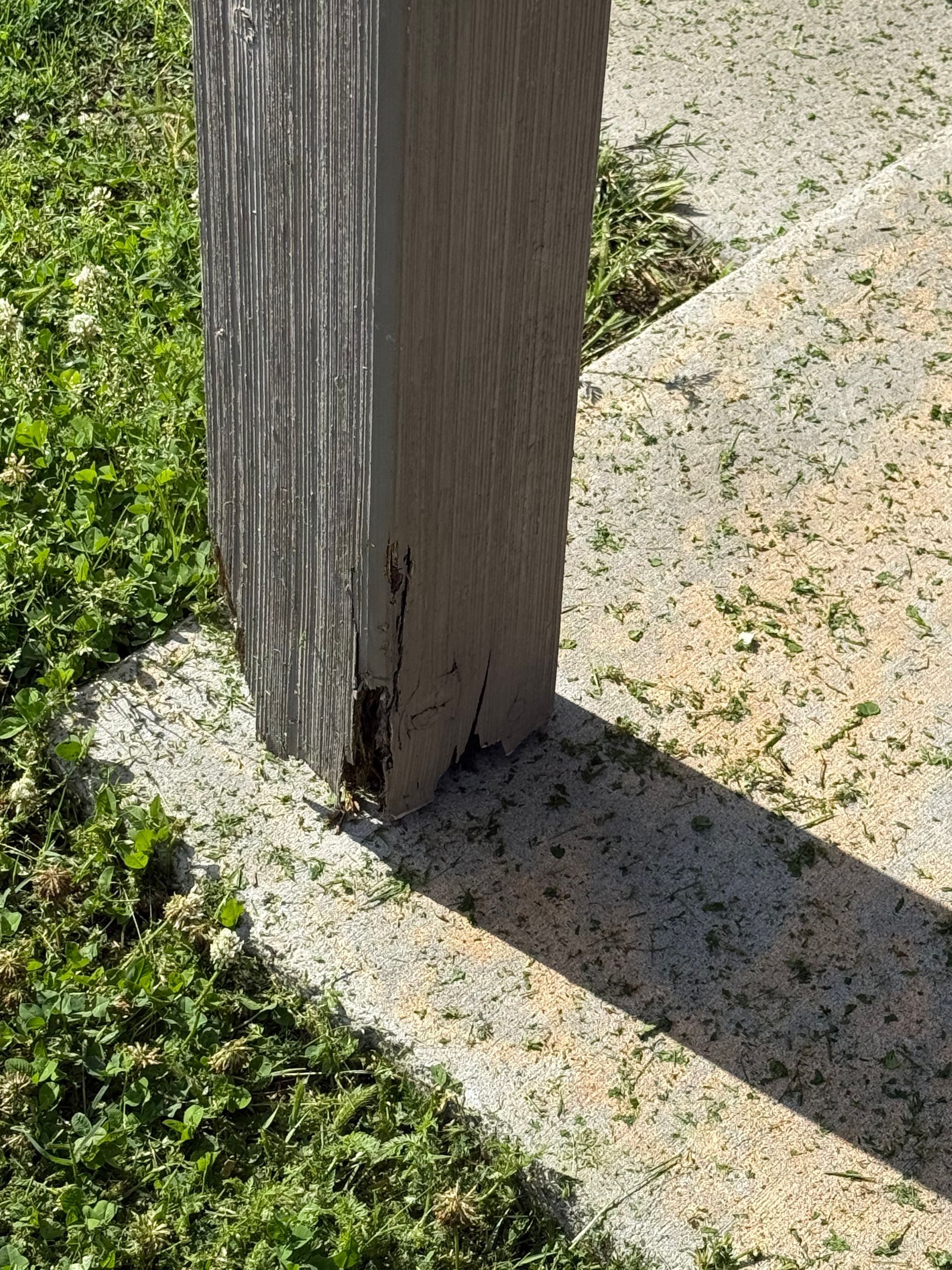 Damaged wooden post on a concrete step, surrounded by grass.