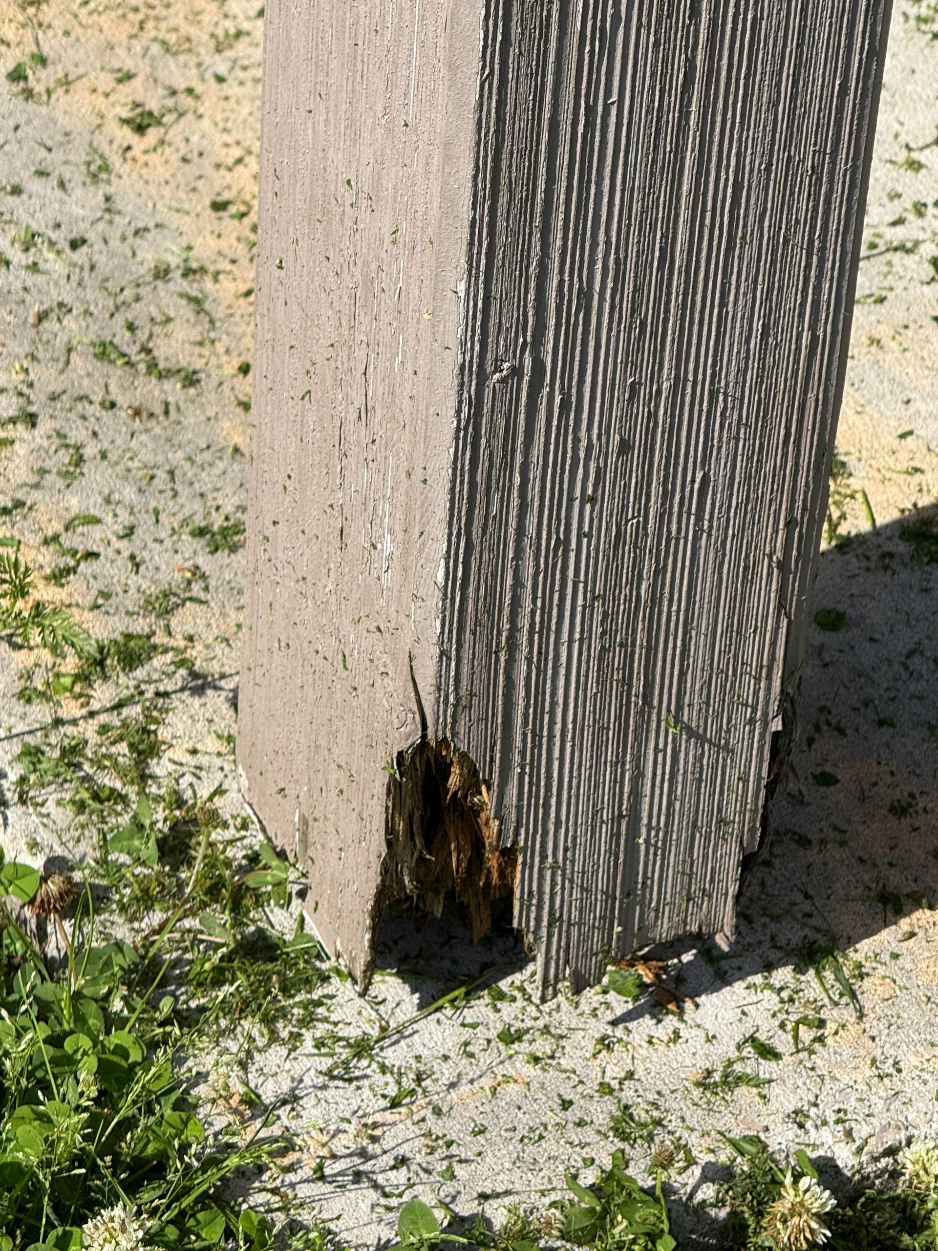 A weathered, gray post with a hole, surrounded by debris, outdoors.