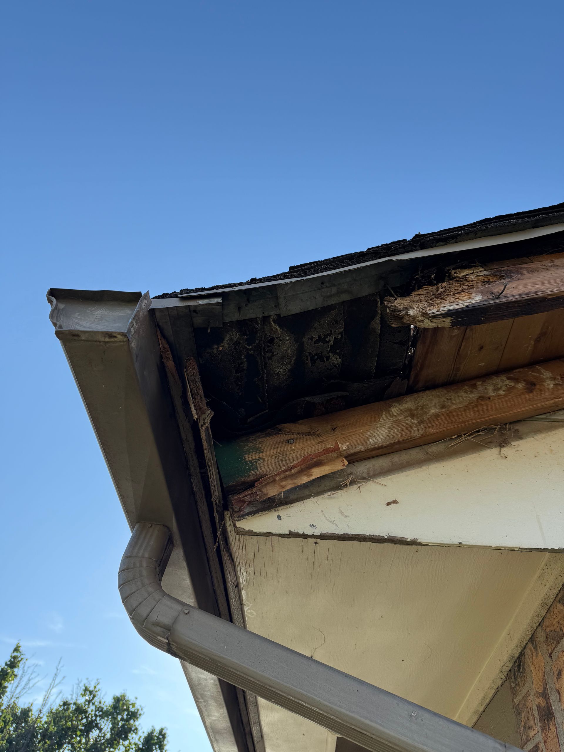 Damaged house eaves; rotted wood, missing shingles, and gutter against blue sky.