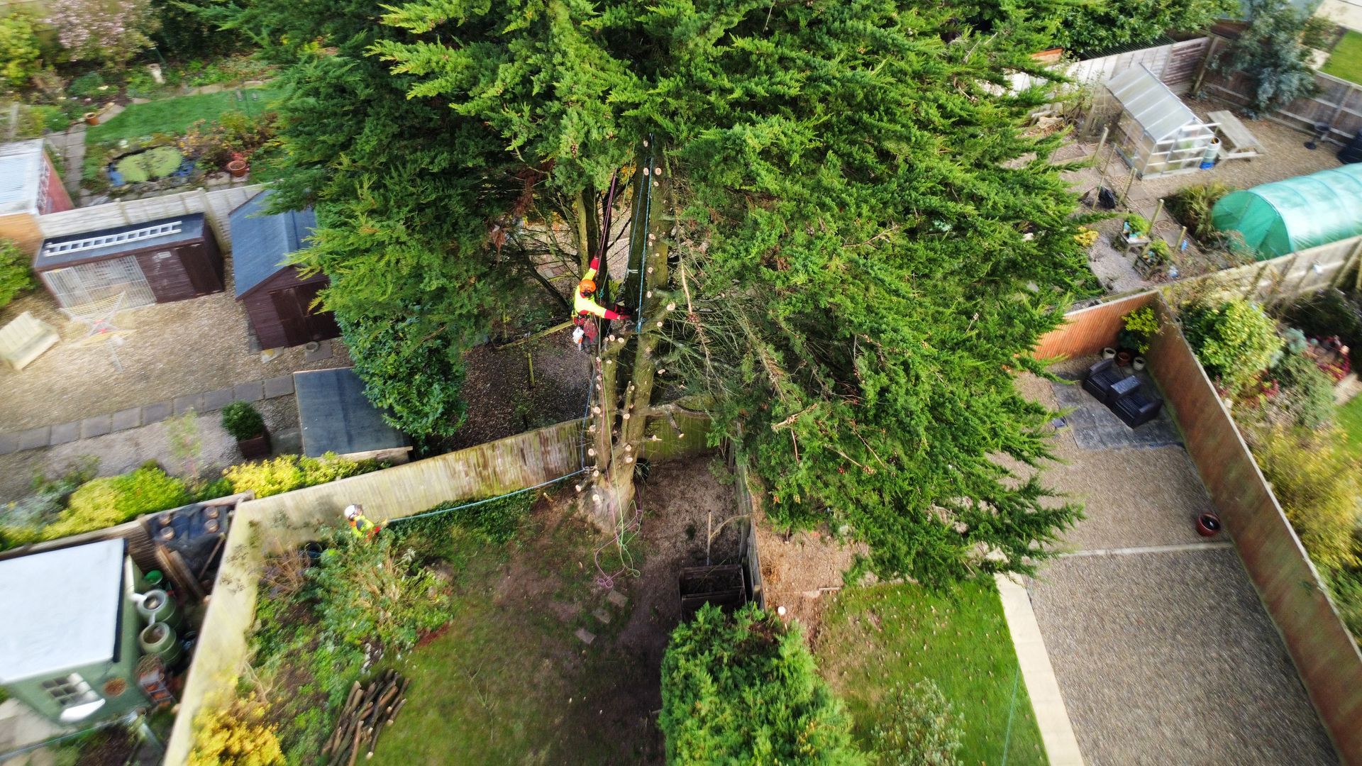 An aerial view of a tree being cut down in a backyard.