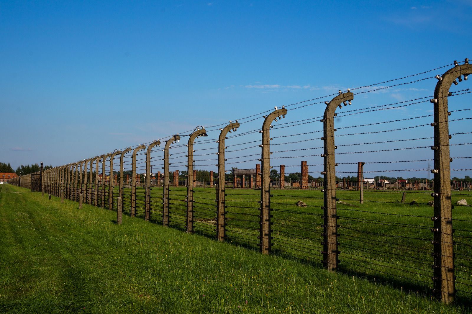 Barbed wire fence surrounding a grassy field with structures in the background, against a blue sky.