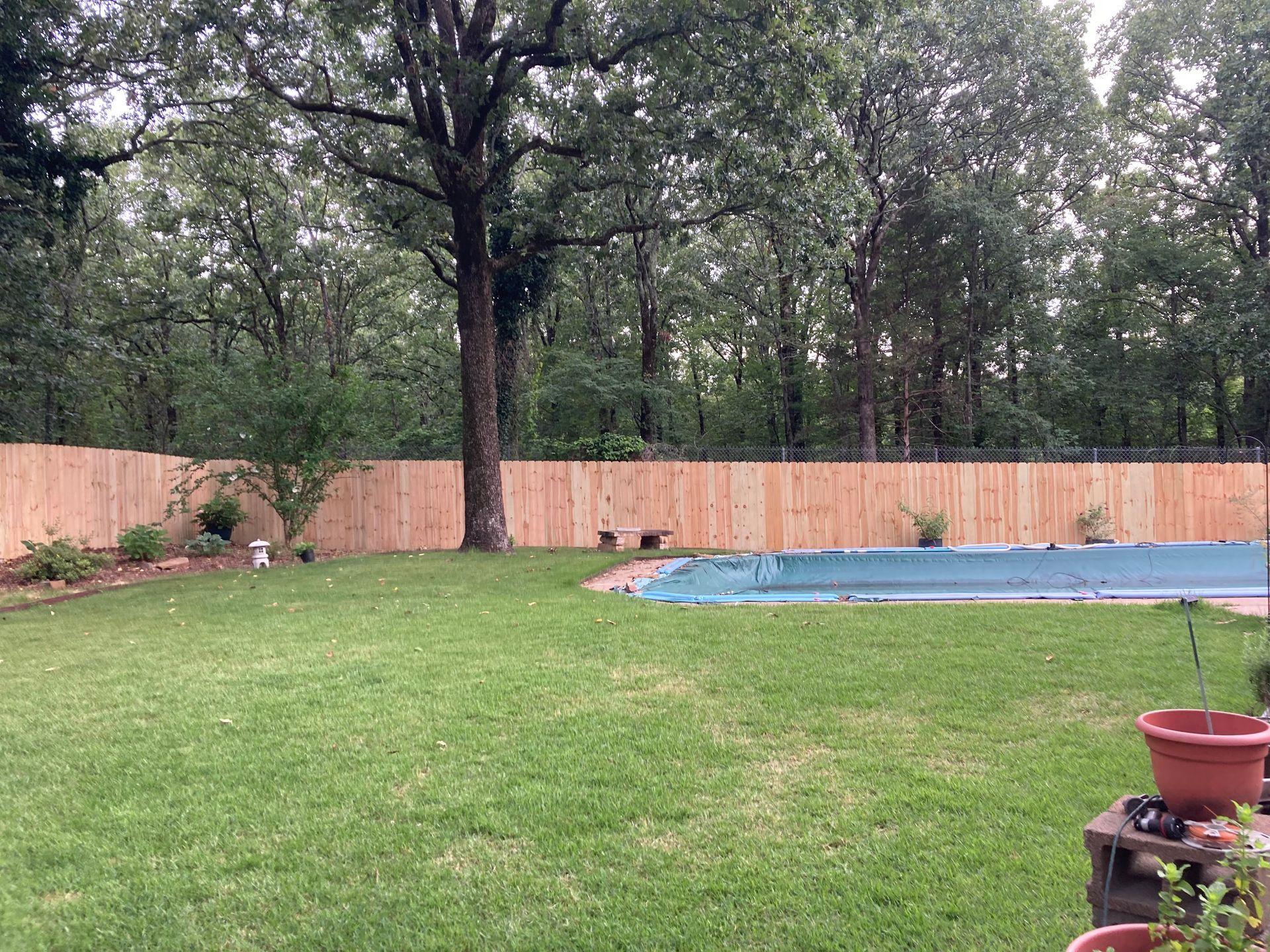 Green backyard with a wooden fence, tree, and empty pool.