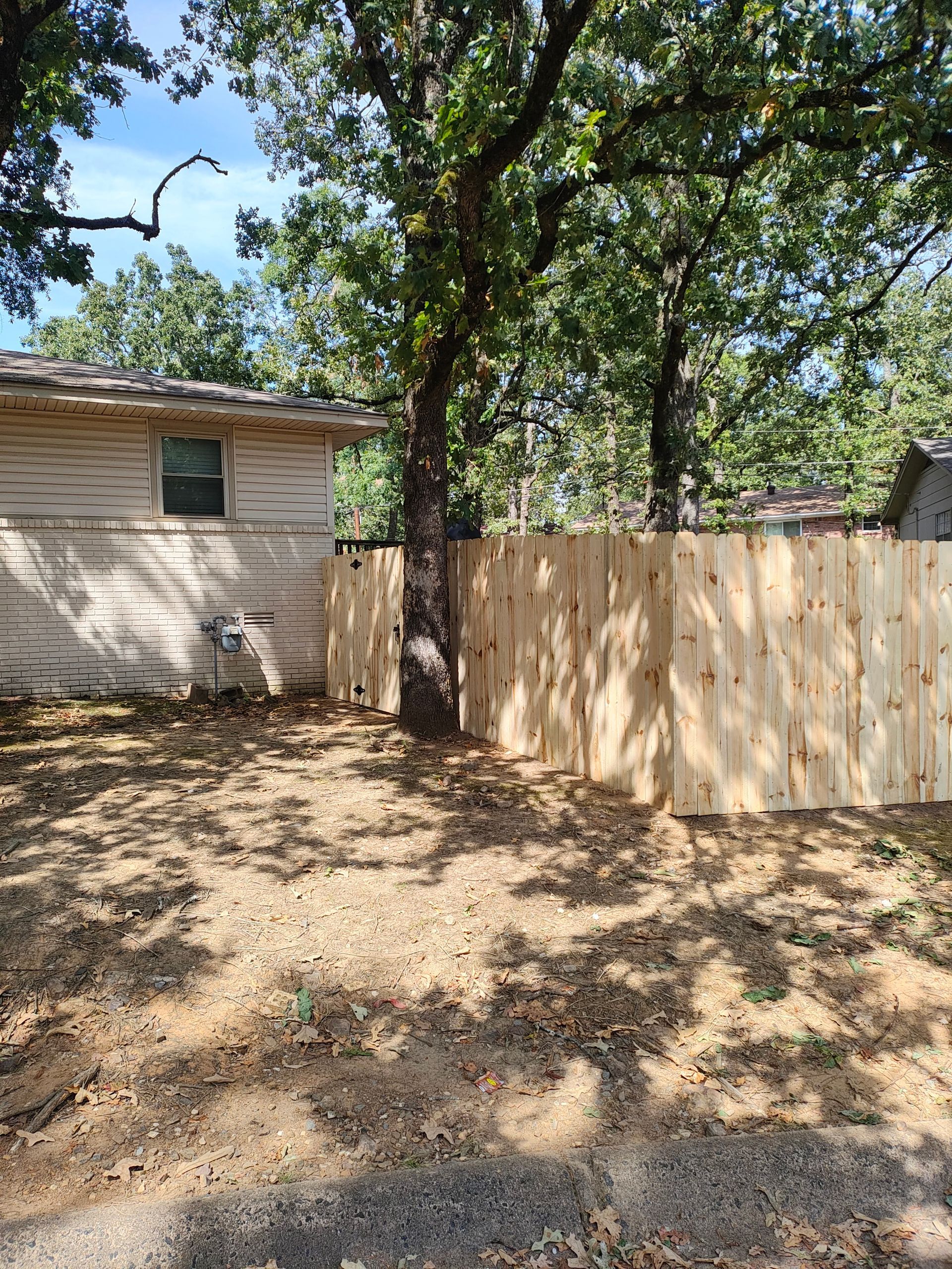 Wooden fence surrounds a tree in a yard. A building is visible in the background, under a blue sky.