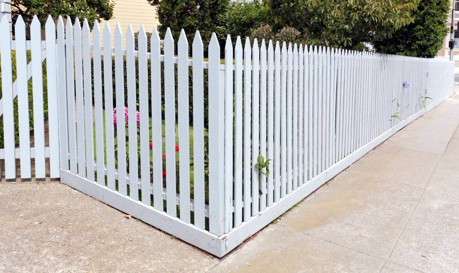 White picket fence around a yard bordering a sidewalk.