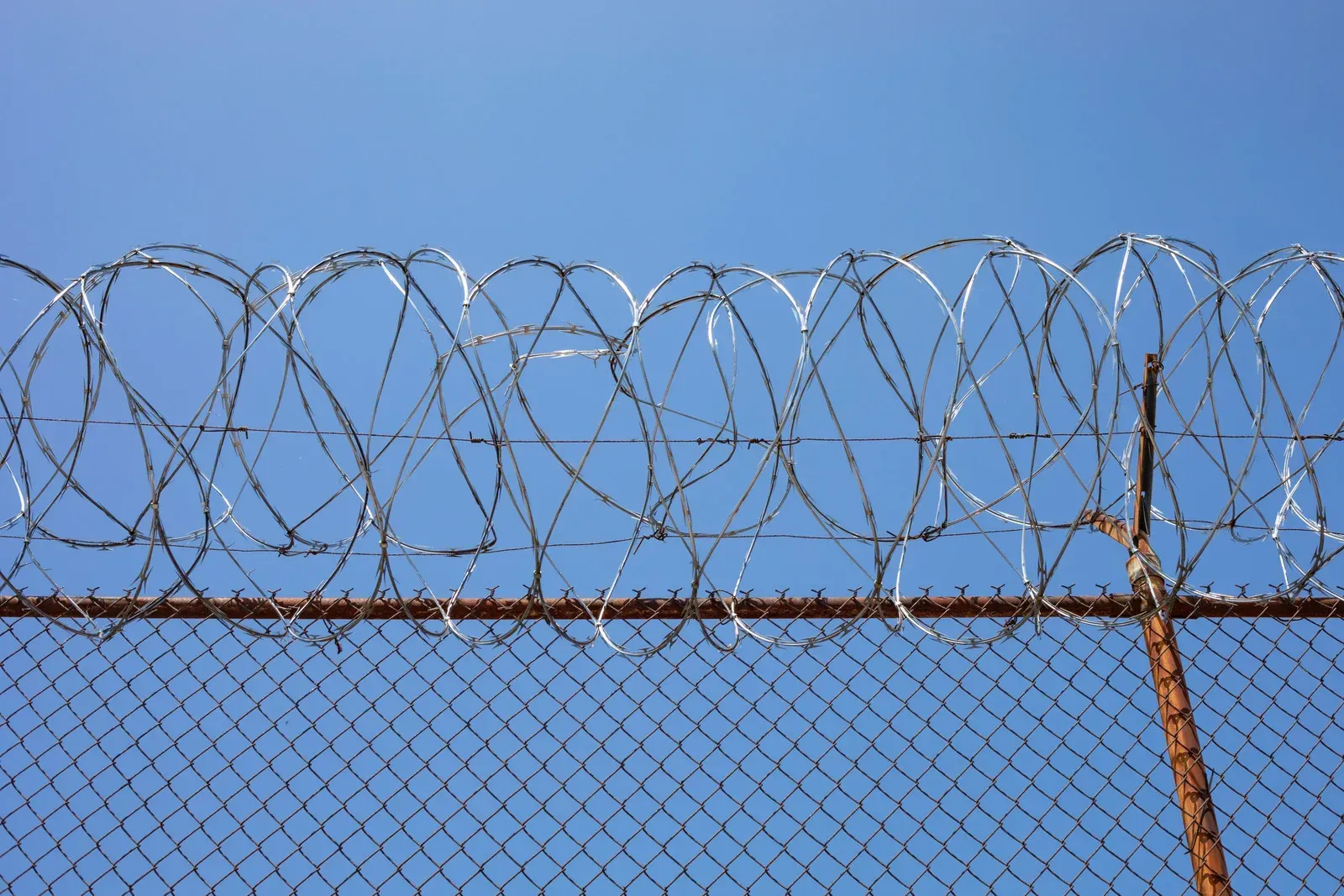 Barbed wire atop a chain-link fence against a clear blue sky.