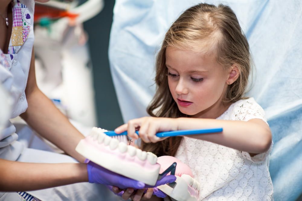 A Little Girl is Brushing Her Teeth on a Model of Teeth — New Horizons Dental in Port Douglas, QLD