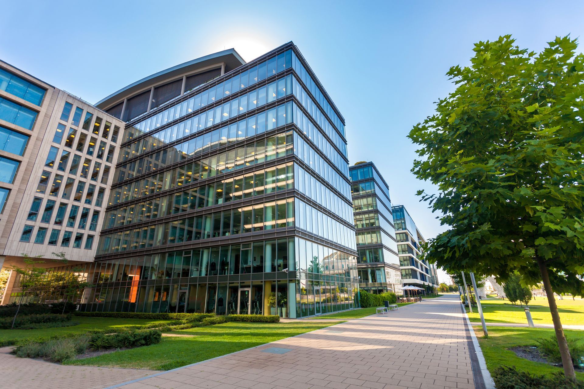 Modern glass office buildings stand along a paved path next to a lush green tree and lawn under a bright blue sky.