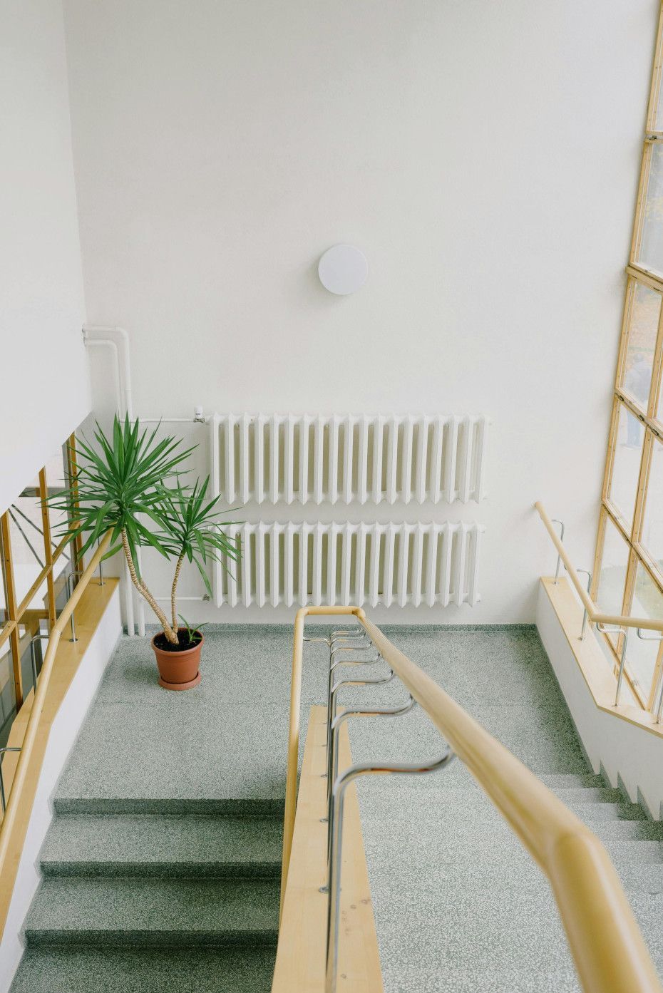 A potted plant is sitting on the stairs next to a radiator.