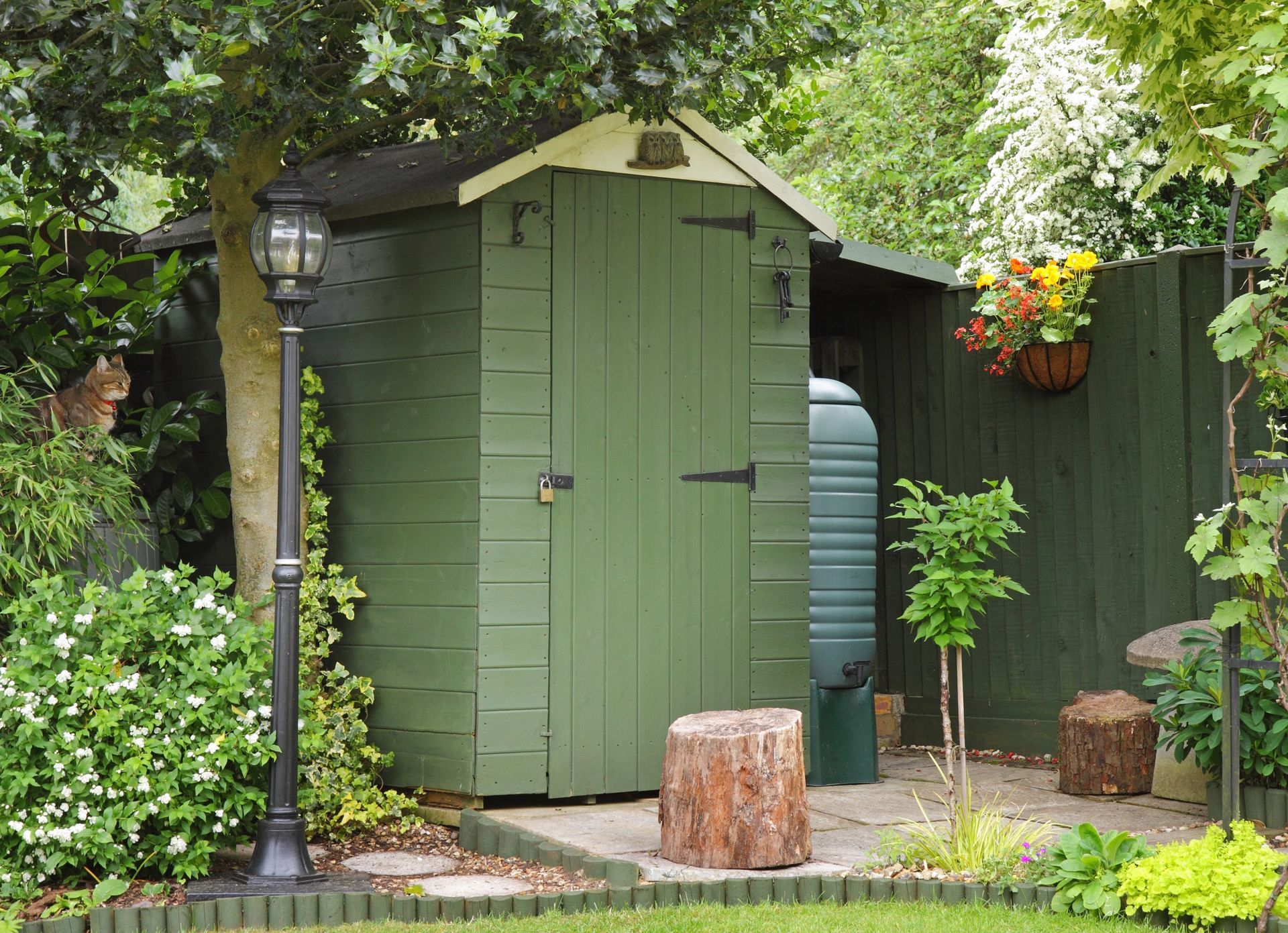 Green shed in a lush garden in Preston, UK. Expertly painted by Rose Decor.