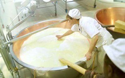 vasca preparazione formaggio